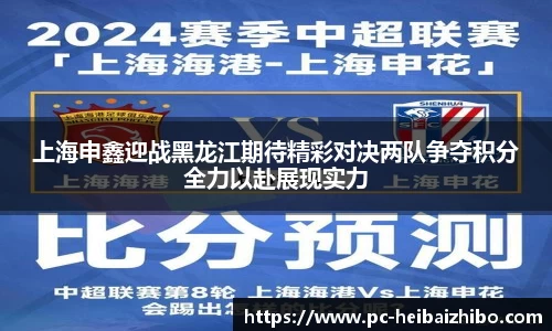 上海申鑫迎战黑龙江期待精彩对决两队争夺积分全力以赴展现实力